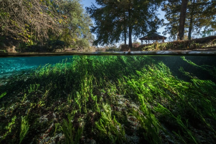 Texas bill sets in motion 100-mile hike-and-bike trail connecting San Antonio to Austin