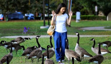Slightly warmer, sunnier days ahead for Dallas-Fort Worth with no rain in sight