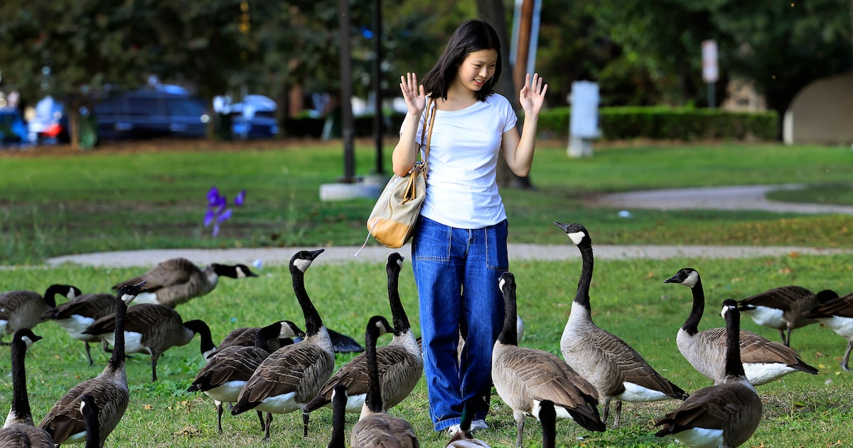 Slightly warmer, sunnier days ahead for Dallas-Fort Worth with no rain in sight