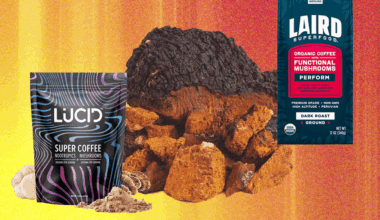 Mushroom Supplements Are the Biohackers’ Latest Fix (2025)