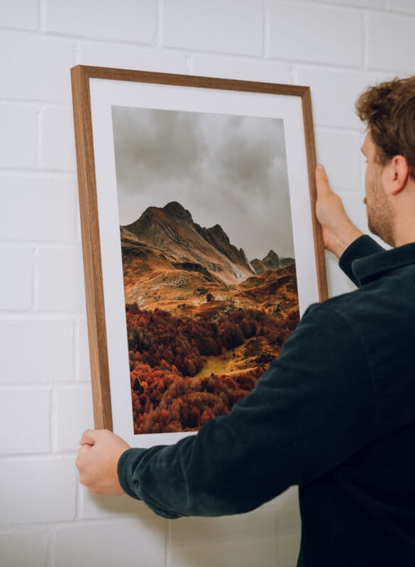 A person hangs a framed photograph of a mountain landscape with autumn trees on a white brick wall.