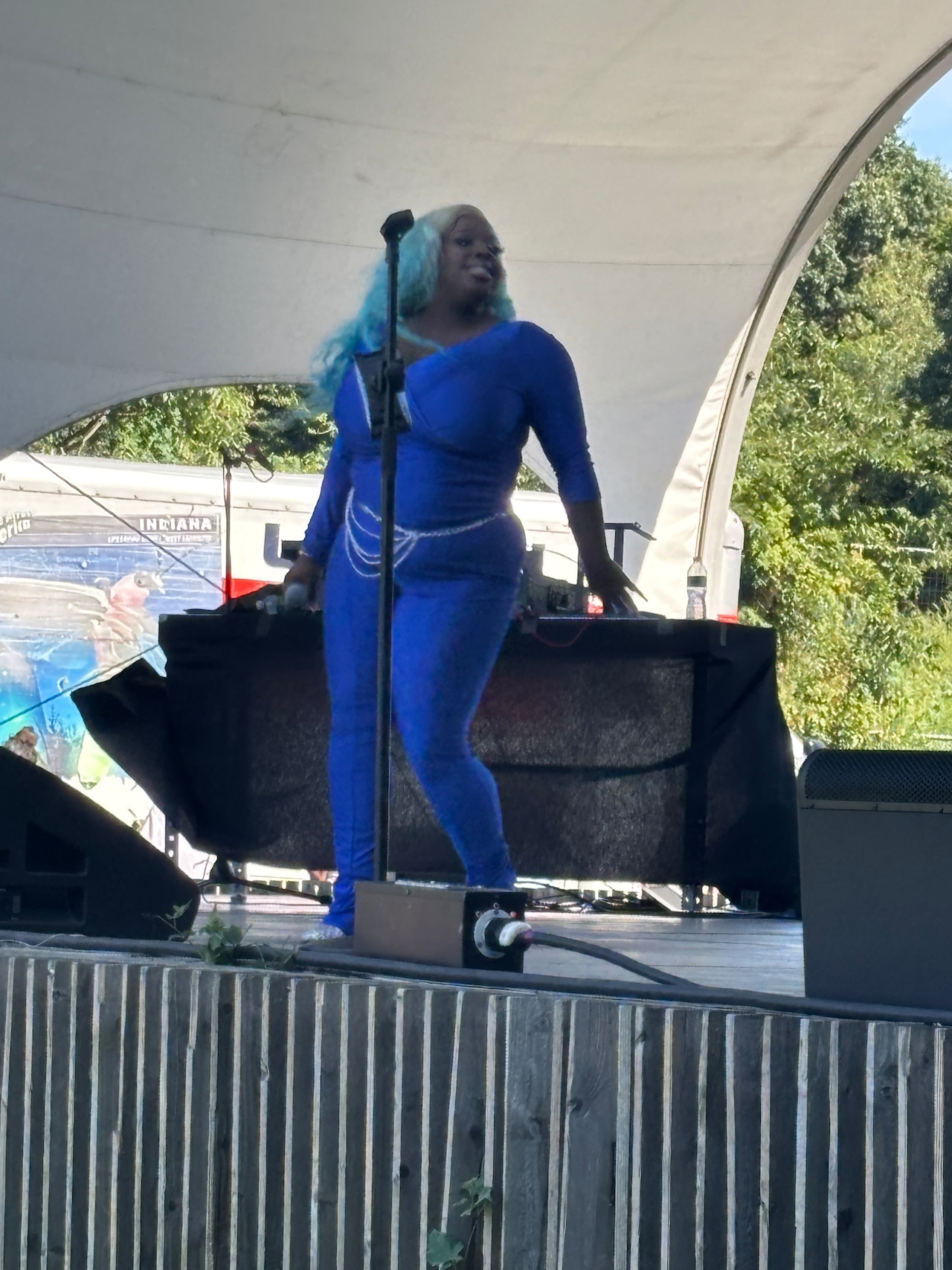 Soul Food Festival NYC