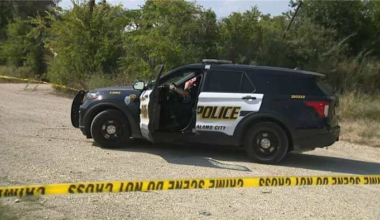 Investigation underway after apparent human skull found outside San Antonio plumbing business