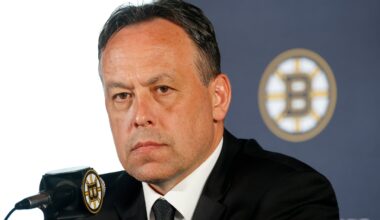 Marco Sturm, a former Bruins player, was named coach in June.