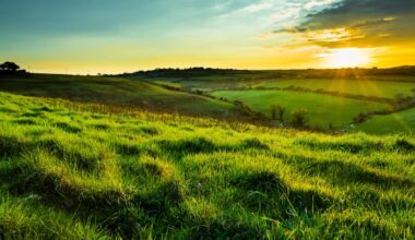 Ireland eyes SEA as major market for grass-fed dairy, protein exports