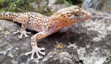 Extreme Temperatures Alter Species Reproduction – Eurasia Review