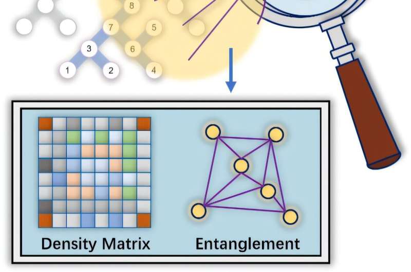 How the new QST method developed by the team works. Credit: Hu et al. A scalable and accurate tool to characterize entanglement in quantum processors