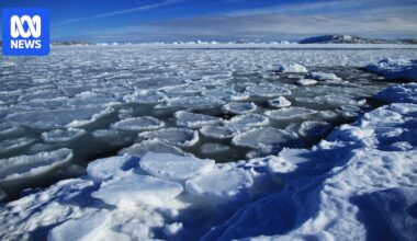 Sudden 30C temperature rise over Antarctica upends Australia's spring outlook