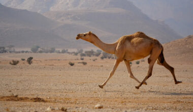 Yahoo lifestyle home