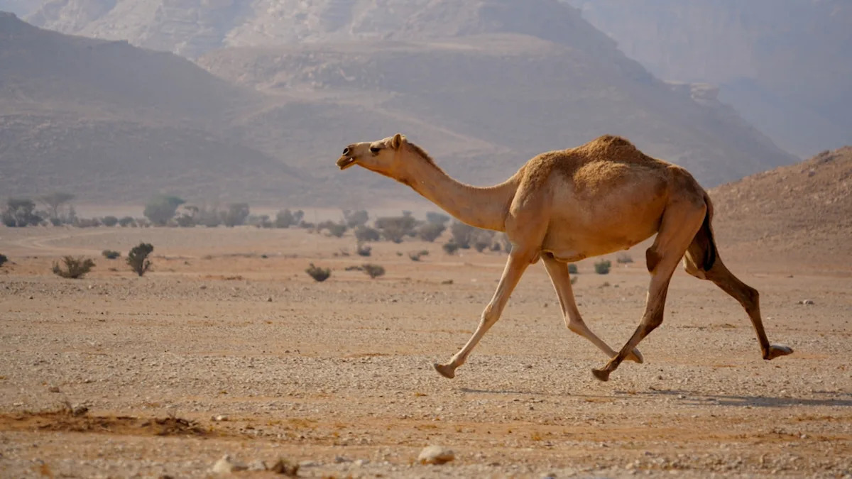 Yahoo lifestyle home