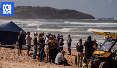 Experienced surfer and dad dies in shark attack on Sydney's Northern Beaches