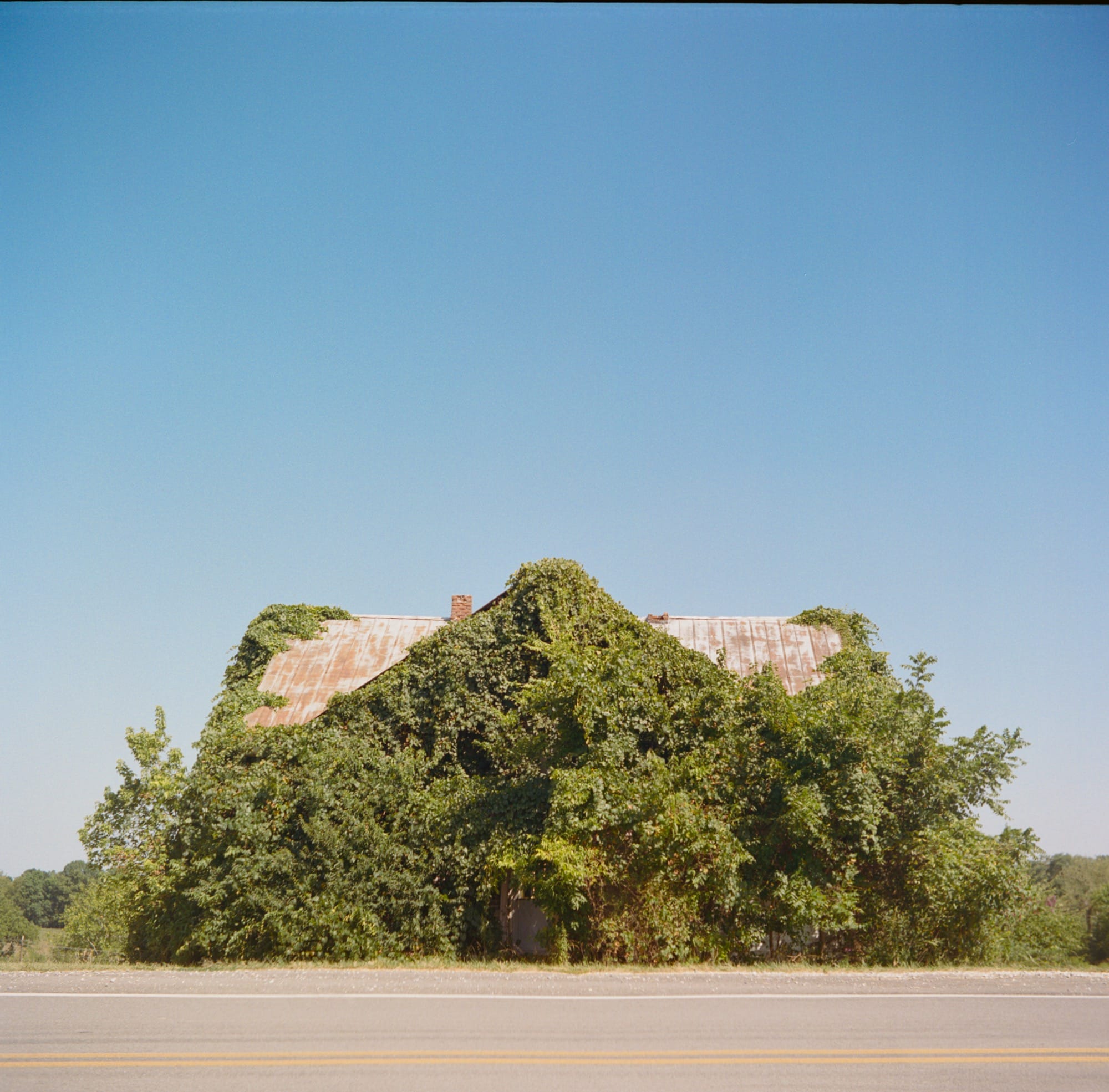a photo of an abandoned farmhouse almost totally covered in vines and plants by Bryan Sansivero