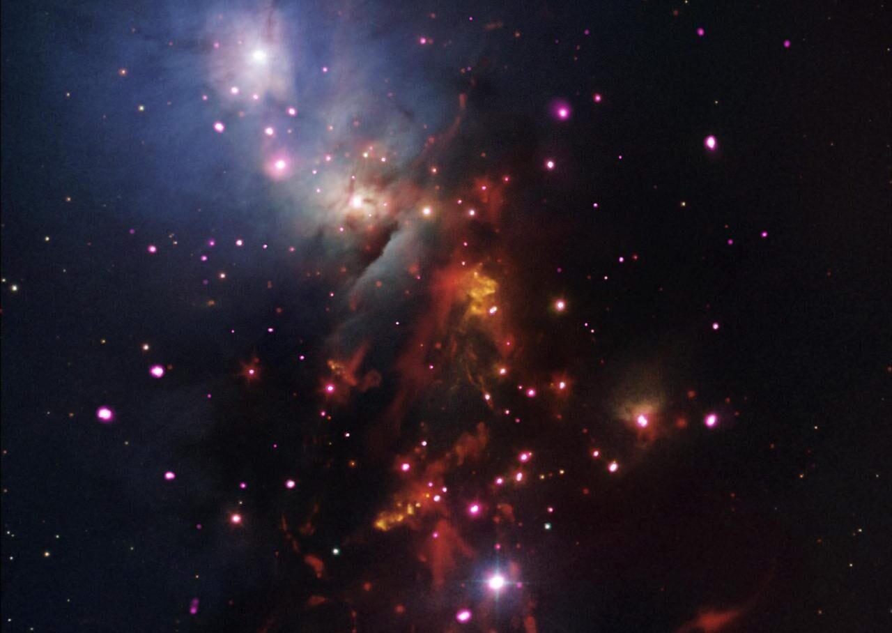 Accidental Discoveries Cosmic X Ray Ngc 1333 Chandra
