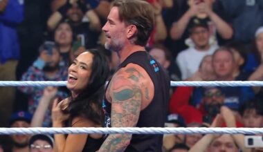 AJ Lee finally returns to WWE and attacks Becky Lynch