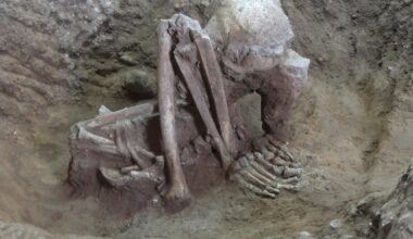 Smoke-dried human remains found in Asia may be world's oldest known mummies, researchers say