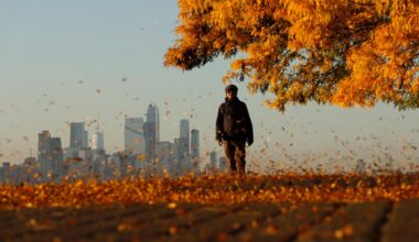 Proof The Fall In New York City CRUSHES Other Places