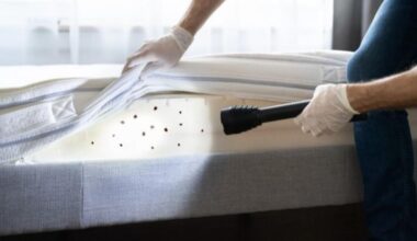 Record Number Of People Slept Near Bed Bugs In New York