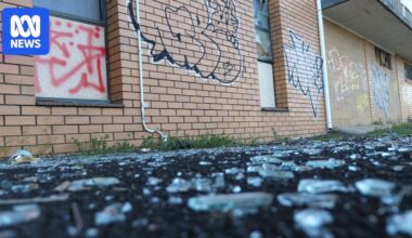 Lismore looks to the future as flood buyback suburbs empty out