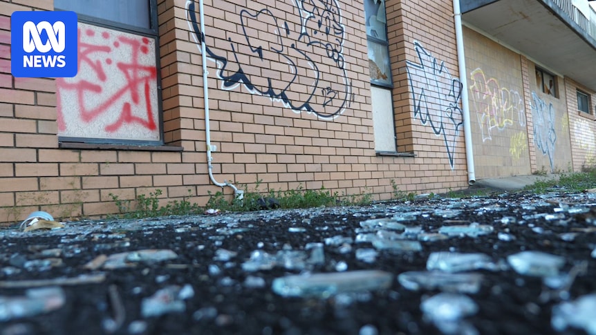 Lismore looks to the future as flood buyback suburbs empty out