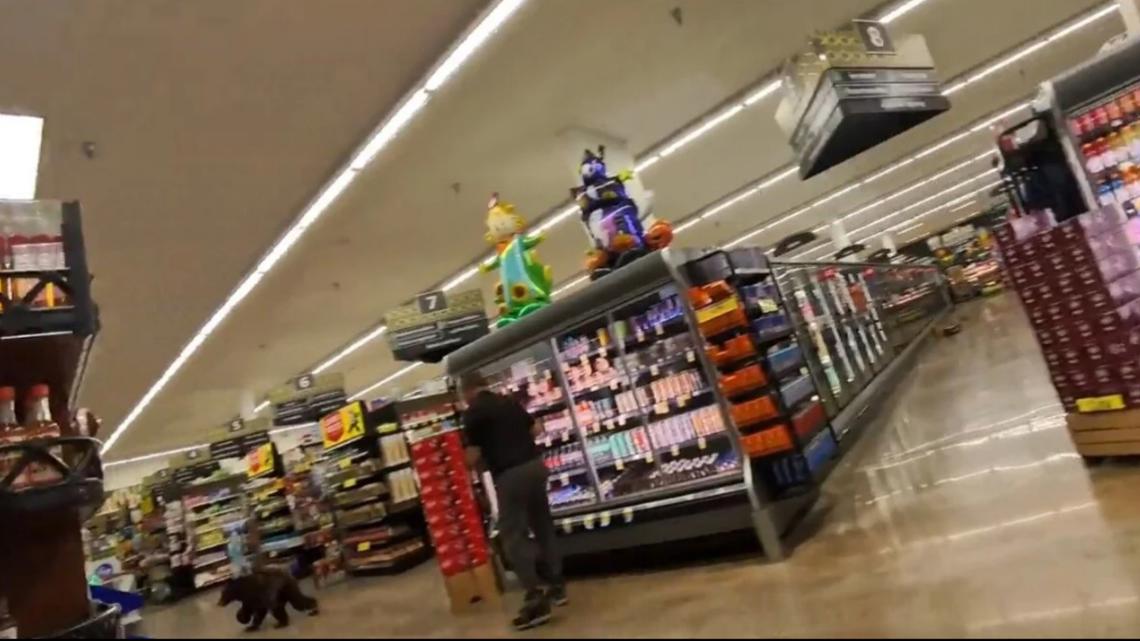 Bear seen wandering through Arizona grocery store