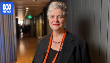 Arts industry leaders call for tax reforms to help struggling sector