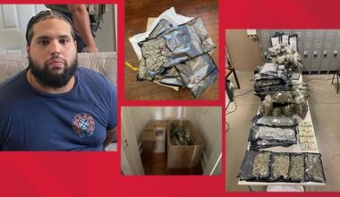 Bexar County seizes $185K in marijuana in major drug bust