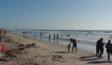 Silver Strand, Dog Beach in Ocean Beach reopened this weekend – NBC 7 San Diego