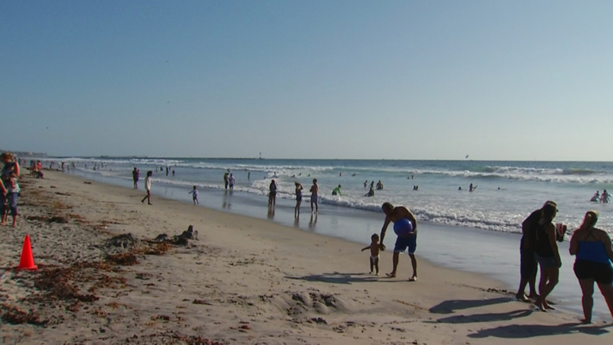 Silver Strand, Dog Beach in Ocean Beach reopened this weekend – NBC 7 San Diego