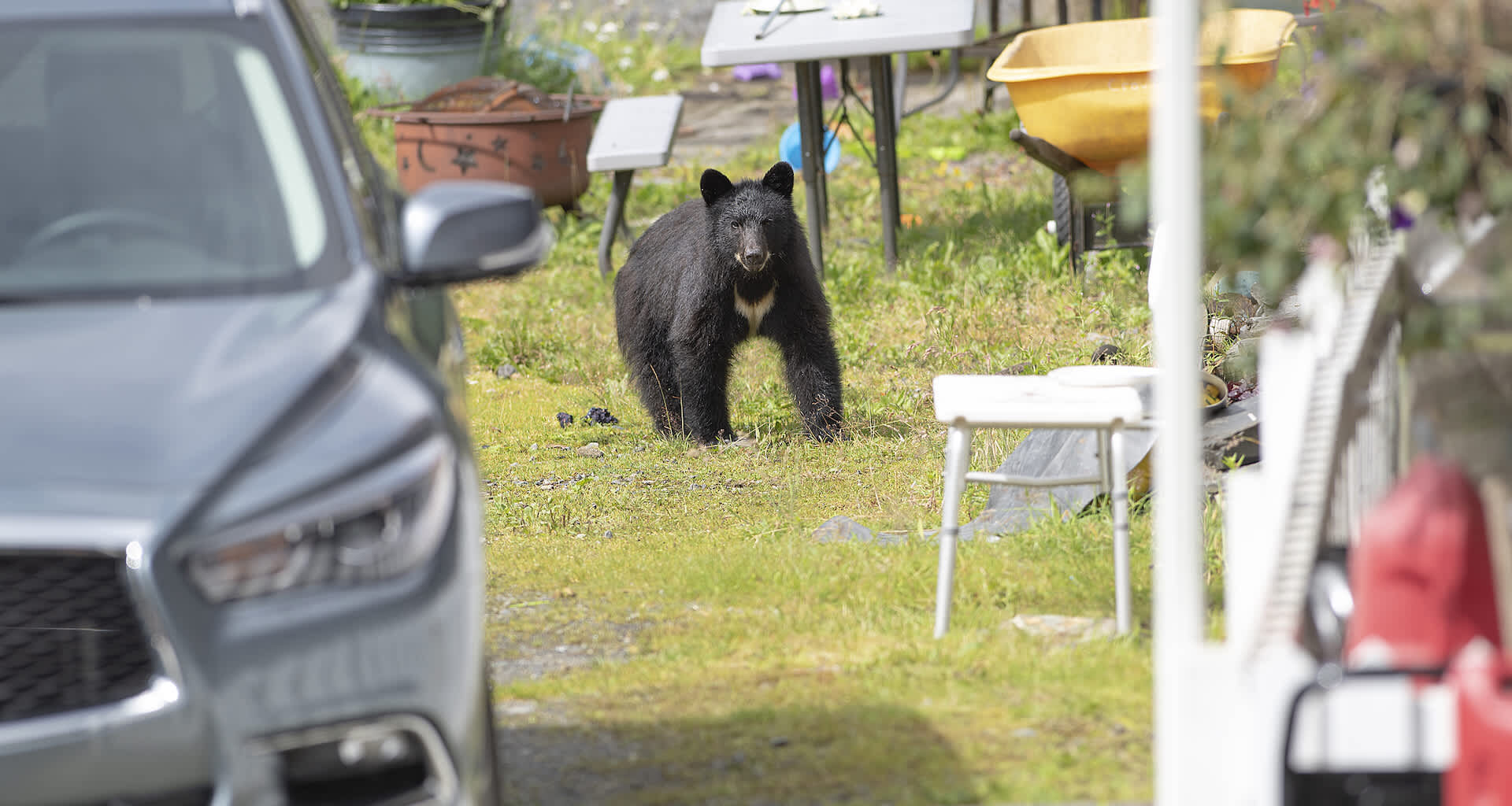 "Seriously, I would've never known he was ever in the car."