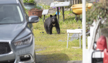 "Seriously, I would've never known he was ever in the car."