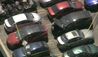 Body found in impounded car at LA tow yard – NBC Los Angeles