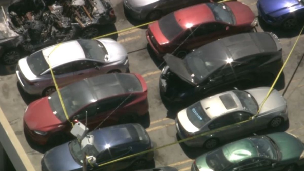 Body found in impounded car at LA tow yard – NBC Los Angeles