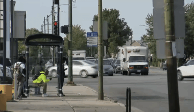 Elderly man beaten to death while waiting at bus stop in Chicago – NBC Chicago