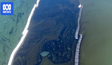 Clean-up underway after 'devastating' industrial spill in Far North Queensland