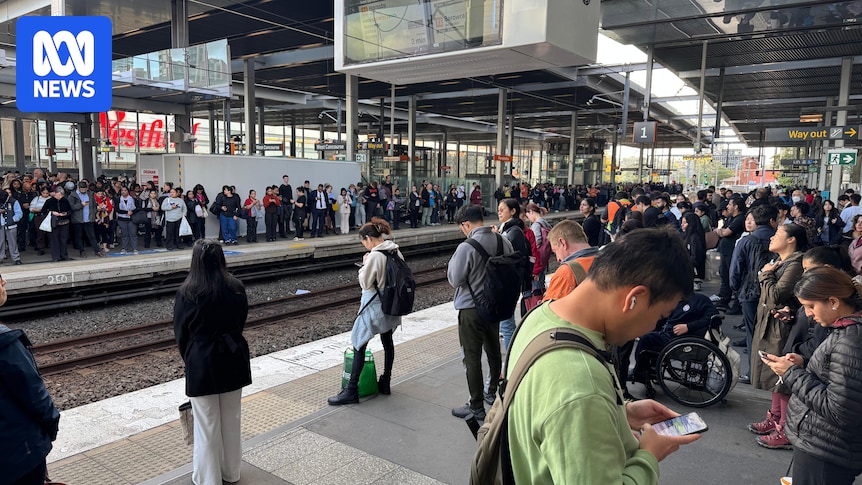 New fleet, new tech and half-a-billion-dollar fleet in response to scathing Sydney Trains review