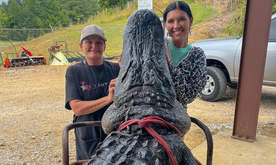 Hunters pose with large gator.