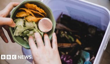 Residents face 'frustrating' food waste collection delays
