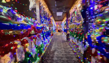 Christmas Wonderland Campo Verde to Close Christmas