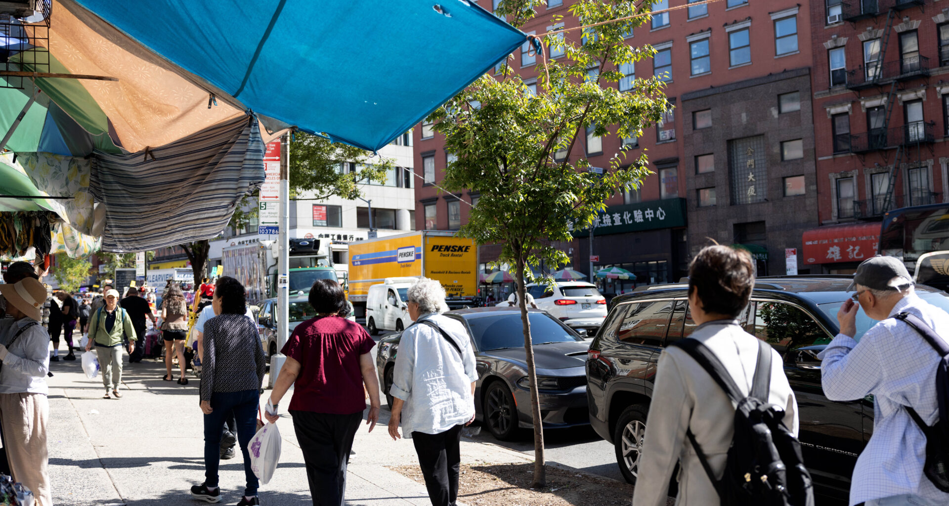 Parks Dept. to Canal Street: 'No Trees for You!'