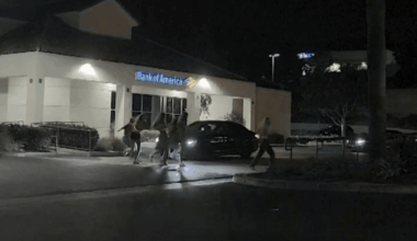 Parents of Carmel Valley hit-and-run victim call for charges – NBC 7 San Diego