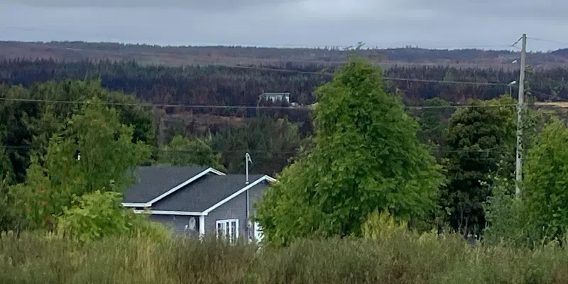 Province Reopens Jobs Program to Aid in Wildfire Recovery
