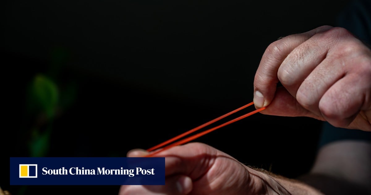 Chinese scientists’ discovery may pave the way for self-charging smartwatches