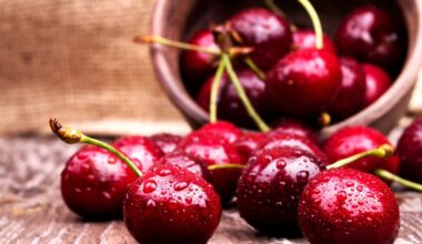 Sun World teams up with Pairwise to develop pitless cherries • EastFruit