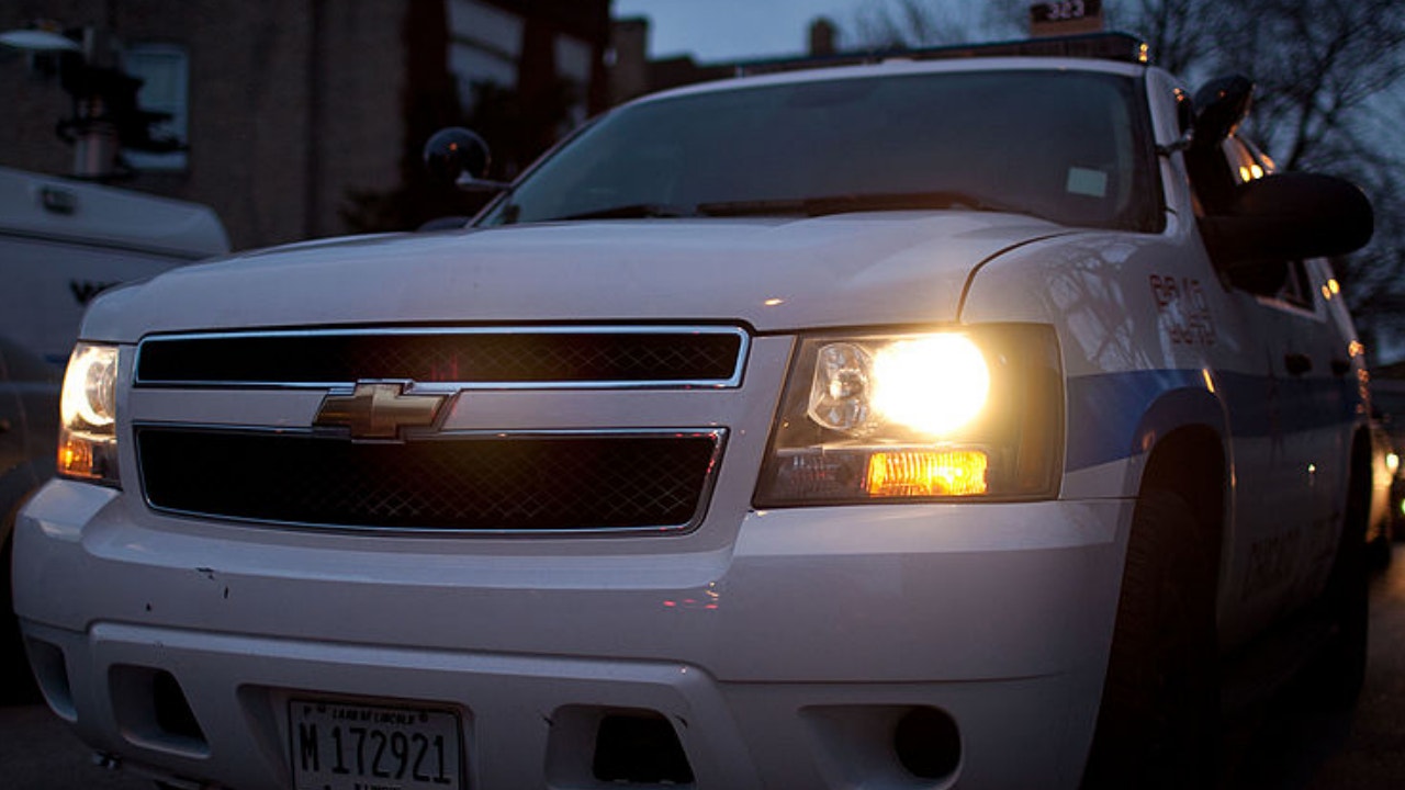 Teen found shot in head on Far South Side, police say