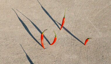 11 Delicious Vitamin A Foods to Boost Your Immune System