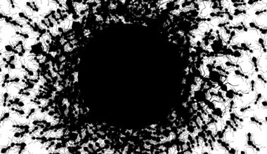 Humanity Is Evolving Into One Big Ant Colony