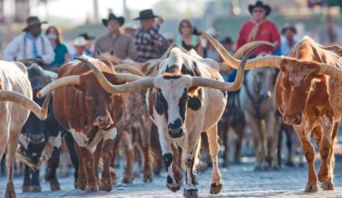 Stockyards Foodie Tour - Fort Worth Magazine