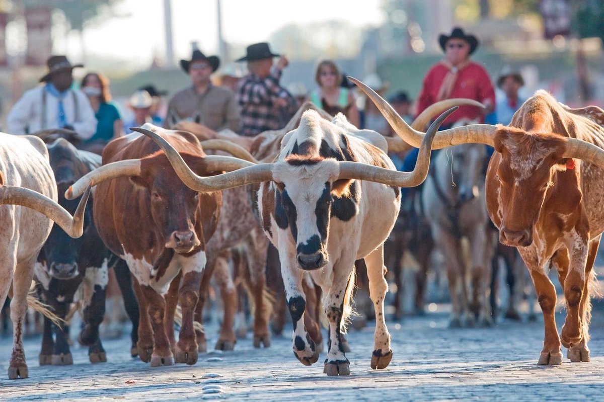 Stockyards Foodie Tour - Fort Worth Magazine