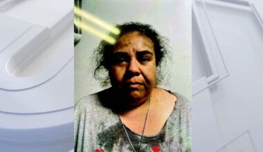 LA activist charged with faking ICE kidnapping pleads not guilty