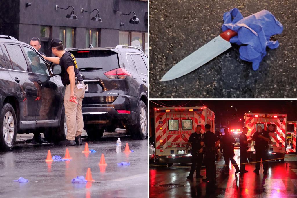 Deranged nut who was gunned down by NYPD ID'd after trying to bust into precinct, slash hero cop's throat